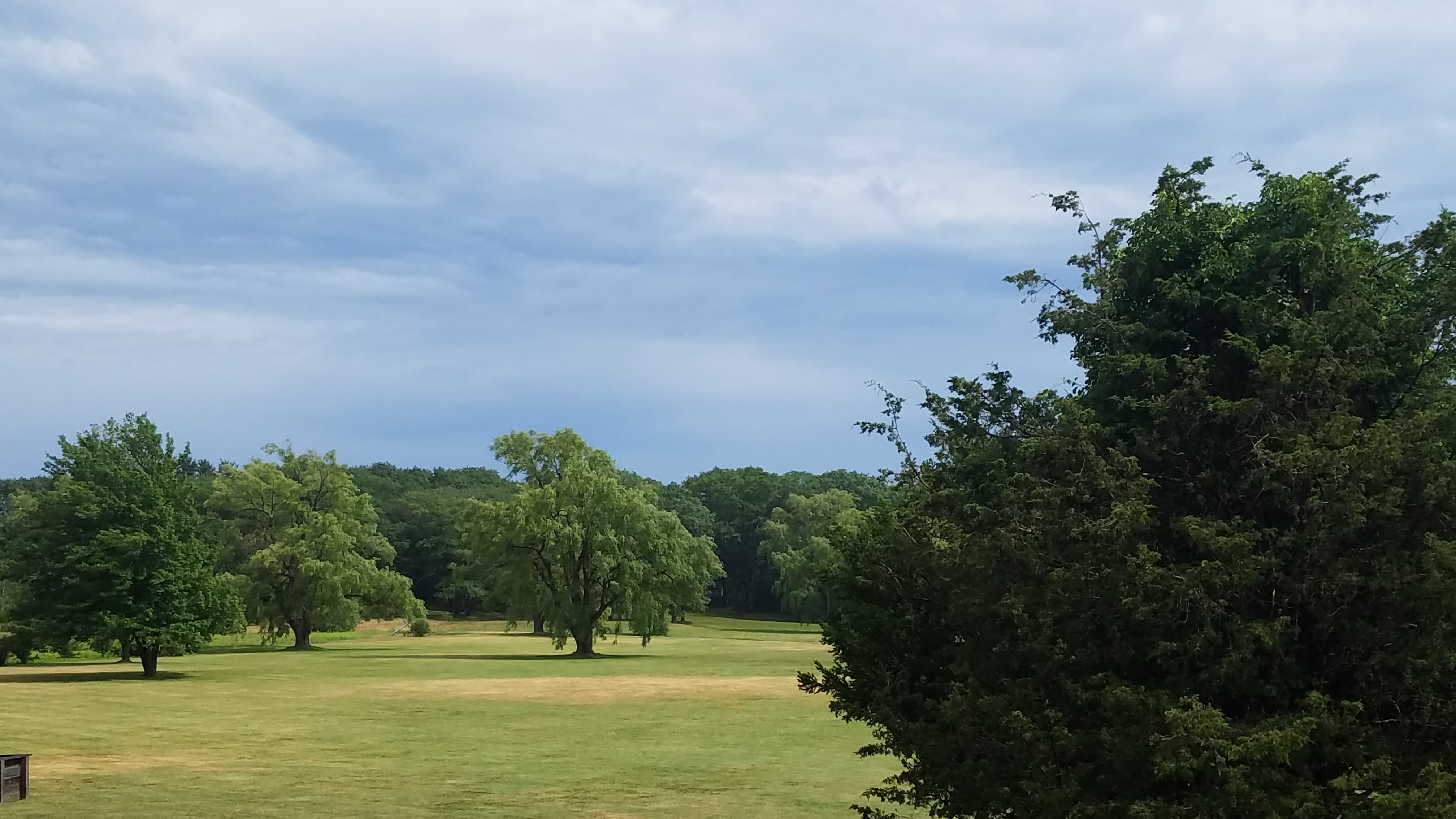 Gallery Image 12