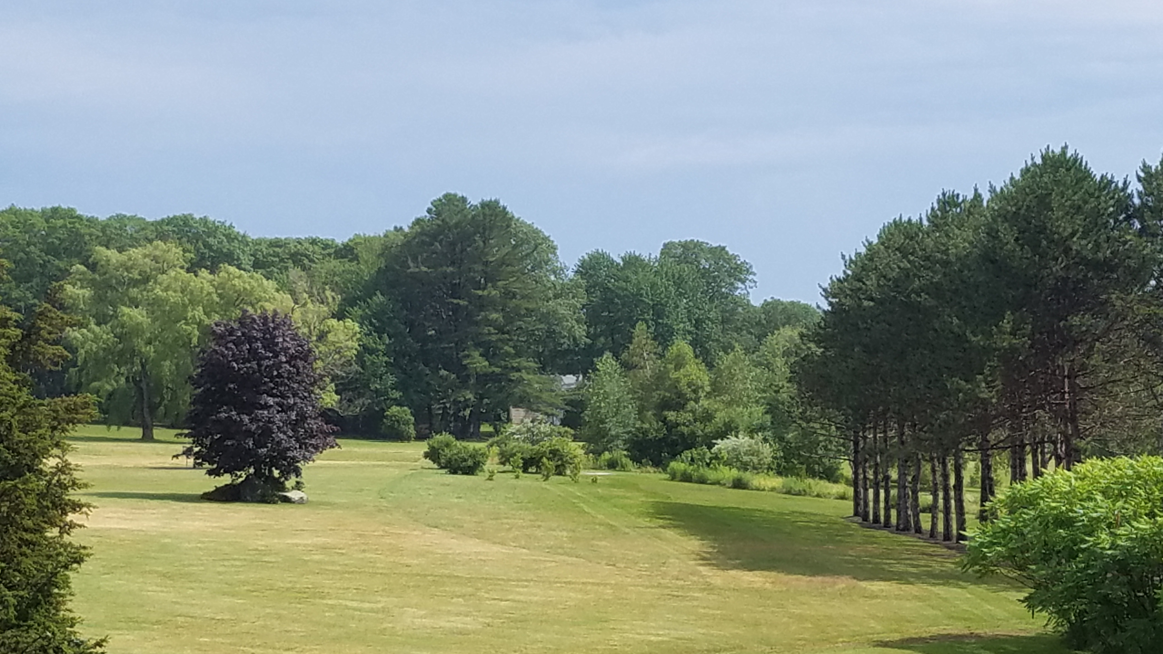 Gallery Image 13