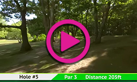 Hole 5